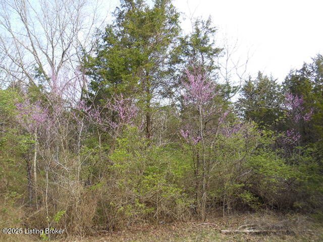 418 Stauffer Ct, Pendleton, Kentucky image 18