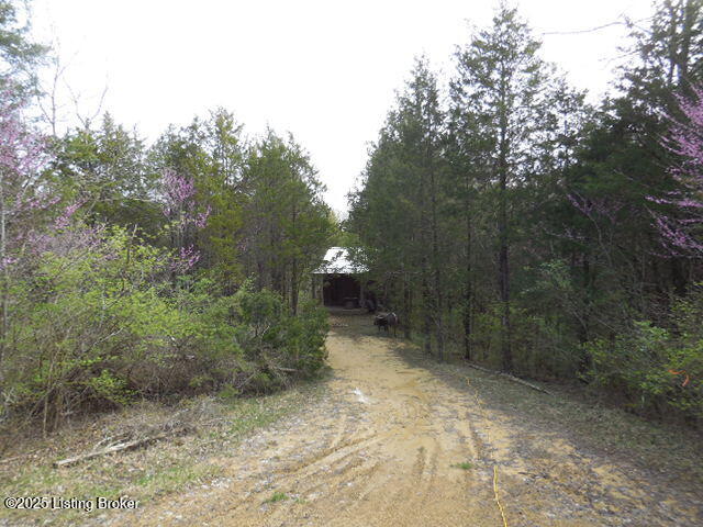 418 Stauffer Ct, Pendleton, Kentucky image 13