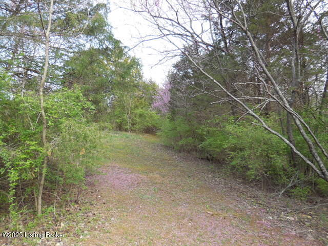 418 Stauffer Ct, Pendleton, Kentucky image 17