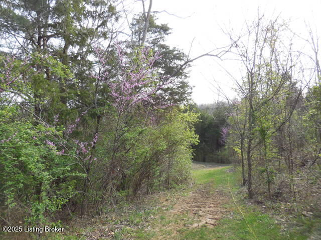 418 Stauffer Ct, Pendleton, Kentucky image 16