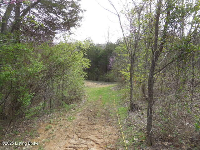 418 Stauffer Ct, Pendleton, Kentucky image 21