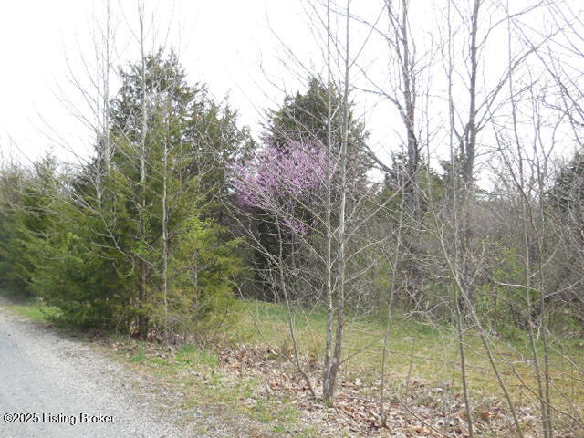418 Stauffer Ct, Pendleton, Kentucky image 19