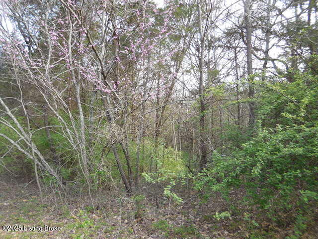418 Stauffer Ct, Pendleton, Kentucky image 15