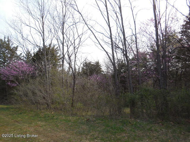 418 Stauffer Ct, Pendleton, Kentucky image 22
