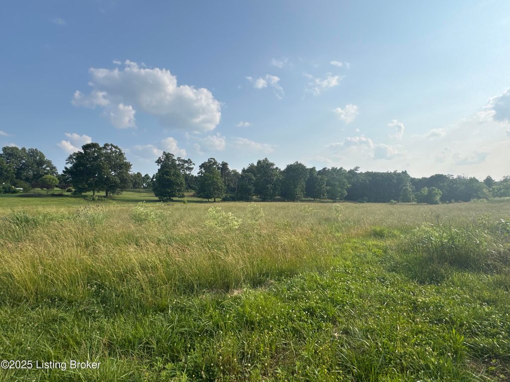 Photo of Lot 1 Wray Dr, Shepherdsville, KY 40165 (MLS # 1705802)