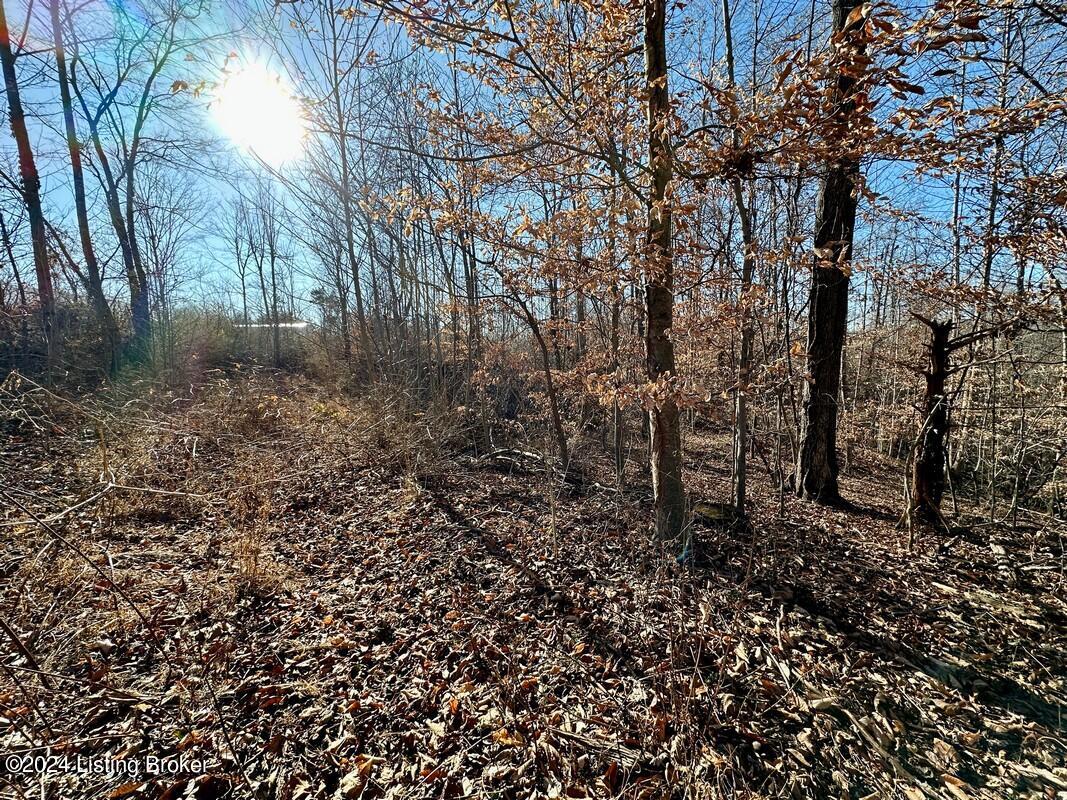 500 Gunner Rd, Clarkson, Kentucky image 44