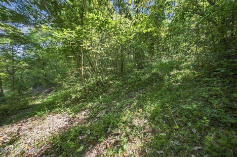 Tiny photo for 2801 Pattons Creek Rd, Pendleton, KY 40055 (MLS # 1729386)