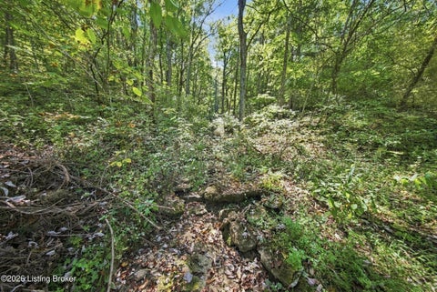 Tiny photo for 2801 Pattons Creek Rd, Pendleton, KY 40055 (MLS # 1729386)