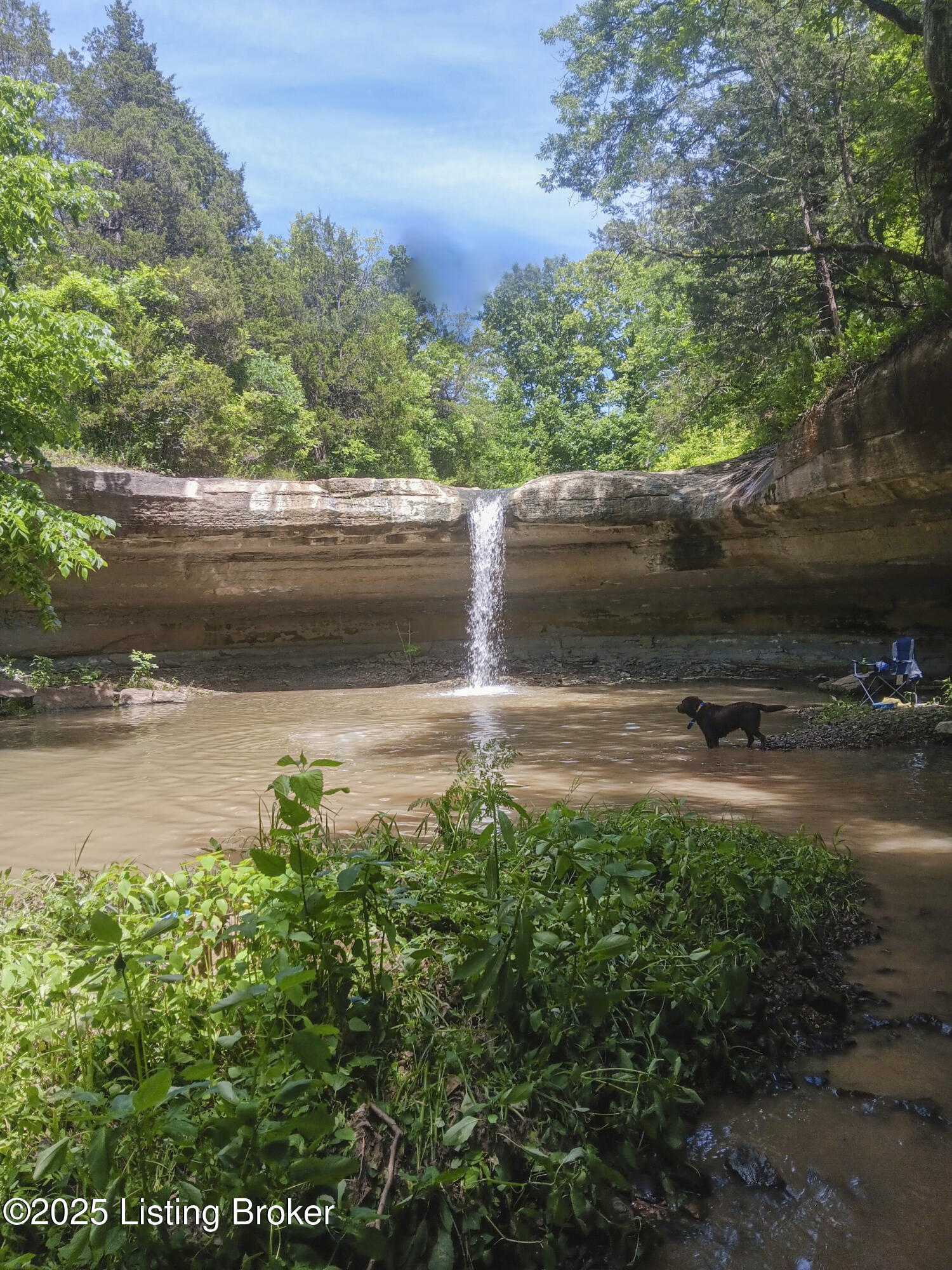 1125 Manton Rd, Bardstown, Kentucky image 41