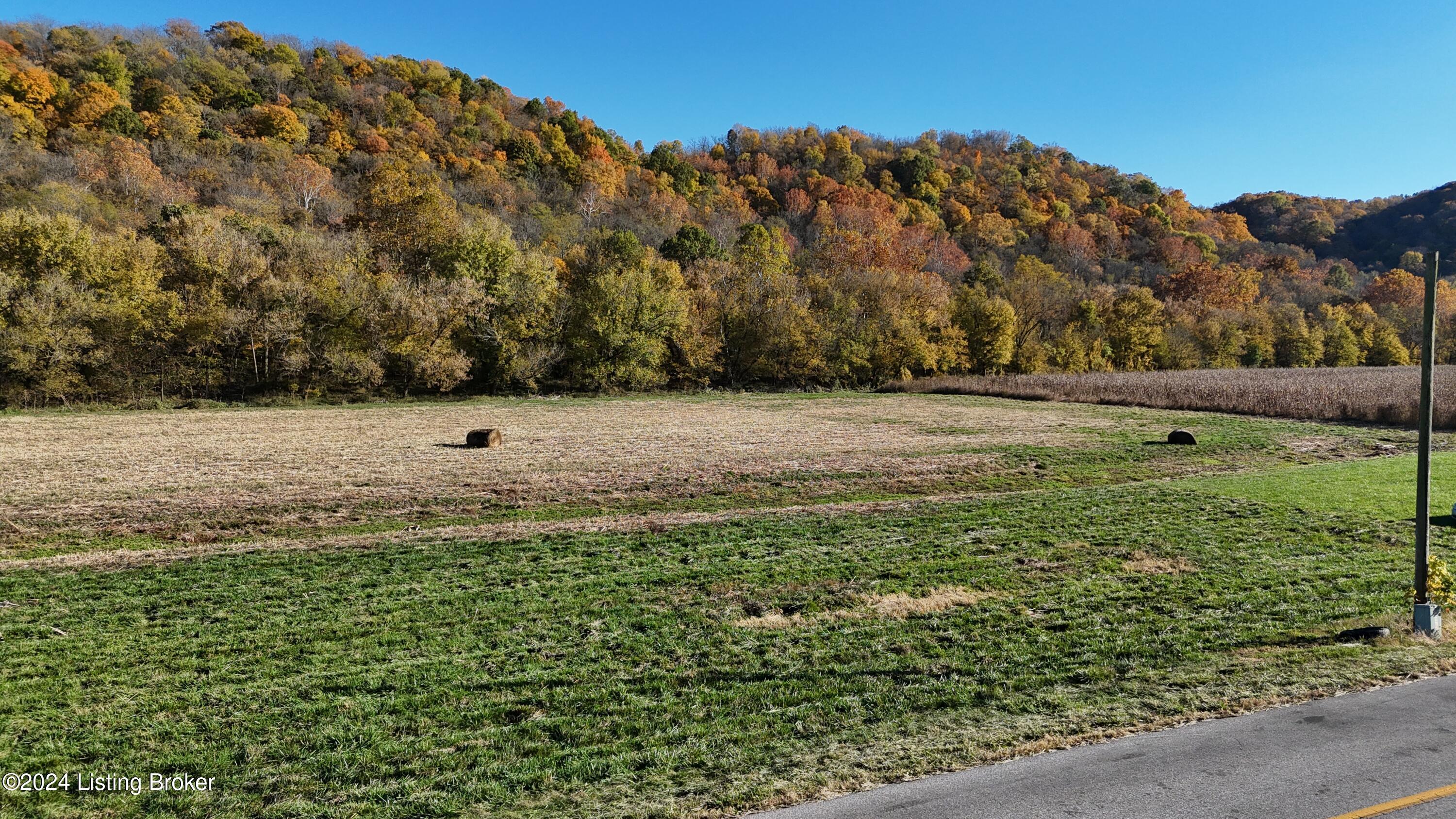 Mill Creek Rd, Carrollton, Kentucky image 11