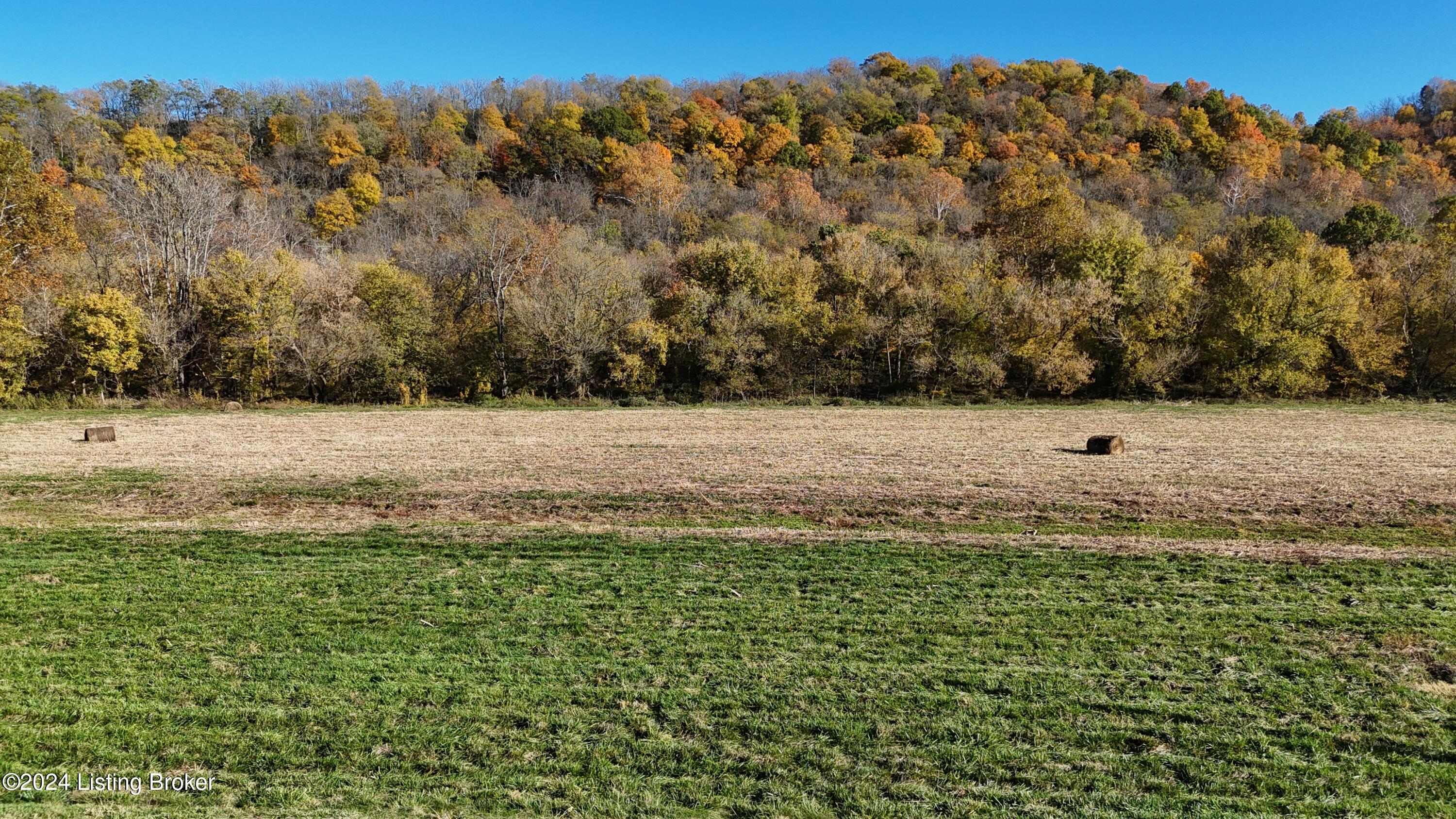 Mill Creek Rd, Carrollton, Kentucky image 10