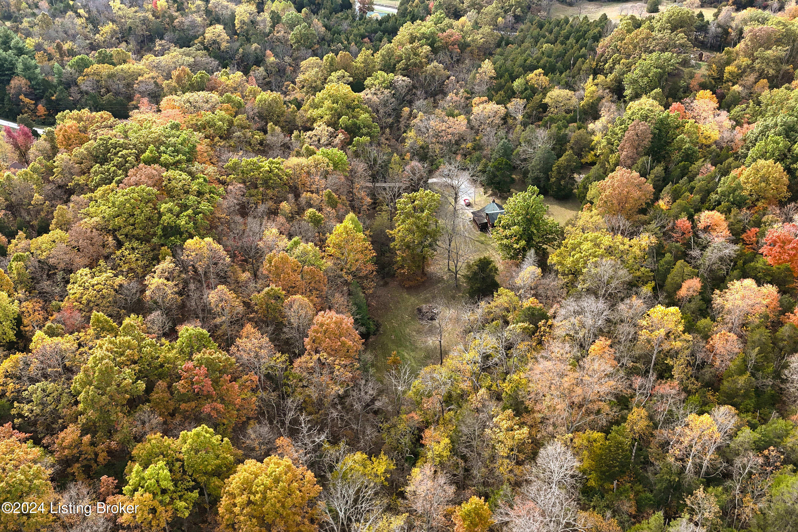 116 Wolfwood Cir, Pendleton, Kentucky image 31