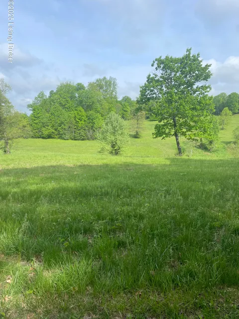 MLS: 1685985