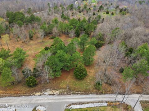 Vacant Land For Sale - LOT 1B Pine Trail<br/> Leitchfield, KY 42754
