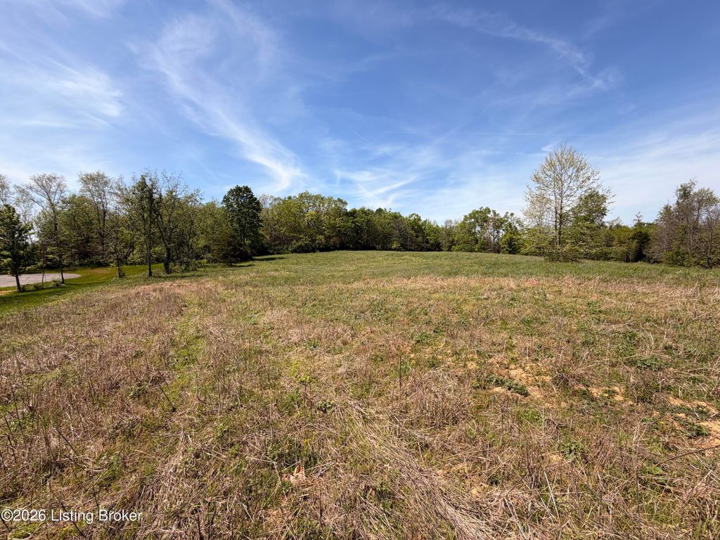 Photo of LOT 10 Rolling Hills Estates, Fisherville, KY 40023 (MLS # 1715107)