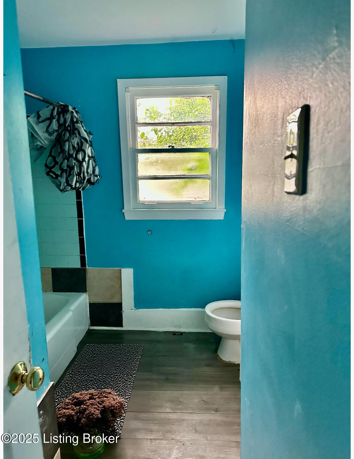 5217 Monticello Ave, Louisville, Kentucky image 7