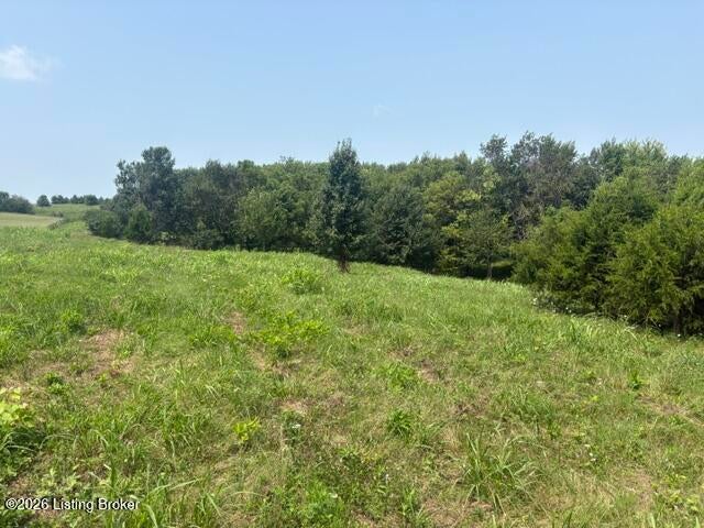Photo of 2051 Chaplin Taylorsville Rd, Bloomfield, KY 40008 (MLS # 1726087)