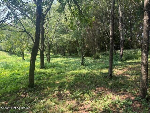 Photo of 2051 Chaplin Taylorsville Rd, Bloomfield, KY 40008 (MLS # 1726087)