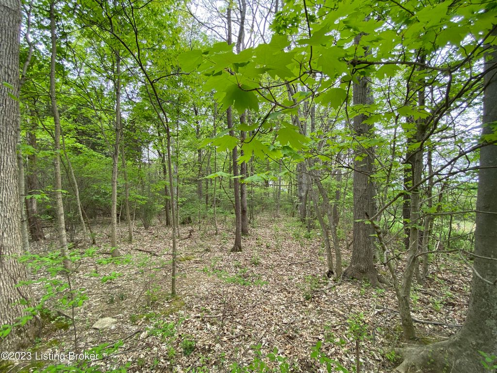 Photo of 17810 Deertrace Ln, Fisherville, KY 40023 (MLS # 1688183)