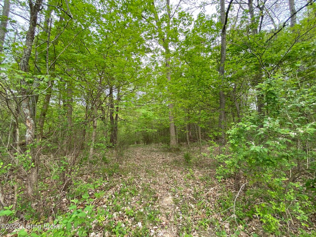 Photo of 17810 Deertrace Ln, Fisherville, KY 40023 (MLS # 1688183)