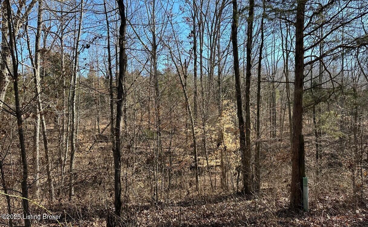 Sadler Rd, Leitchfield, Pennsylvania image 11