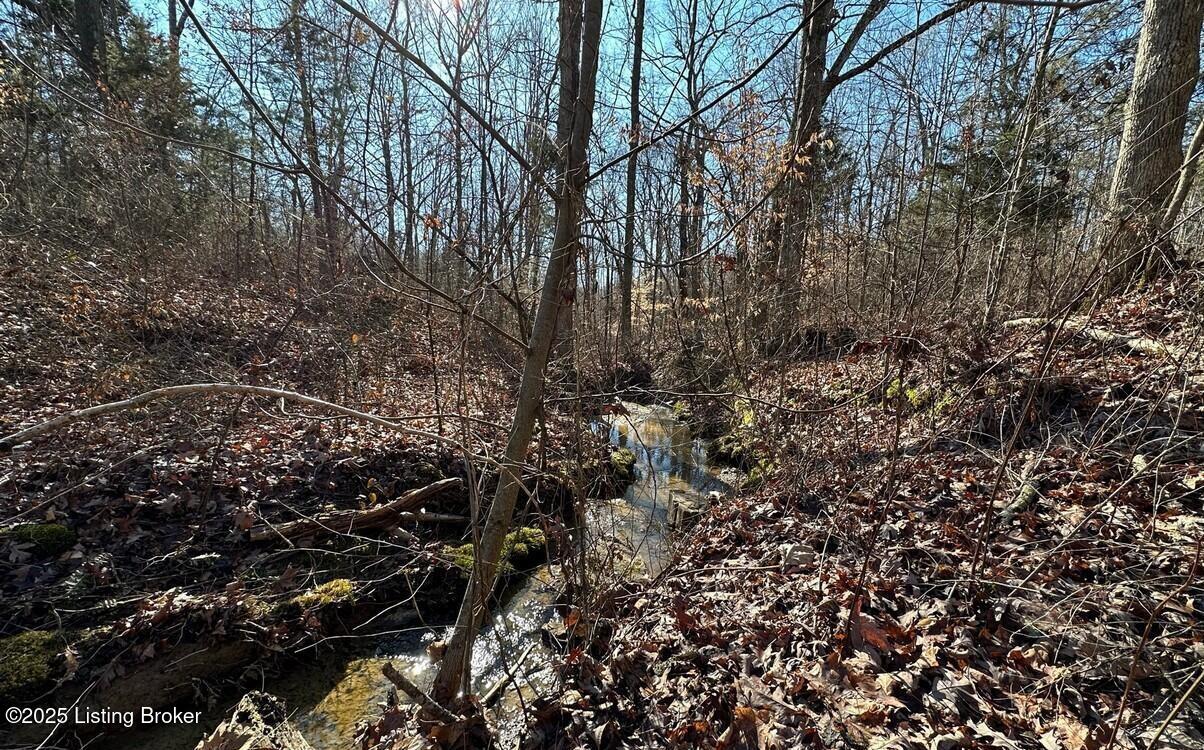 Sadler Rd, Leitchfield, Pennsylvania image 9