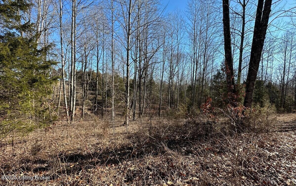 Sadler Rd, Leitchfield, Pennsylvania image 5