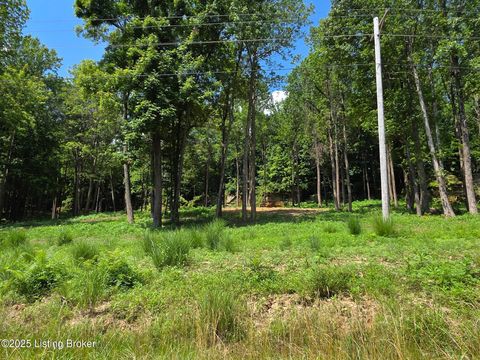 Vacant Land For Sale - 5 Cave Creek Rd<br/> Grayson County, Falls Of Rough, KY 40119