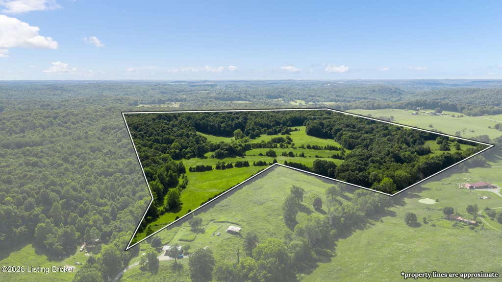 Photo of 2551 Falls Of Rough Rd, Caneyville, KY 42721 (MLS # 1721292)