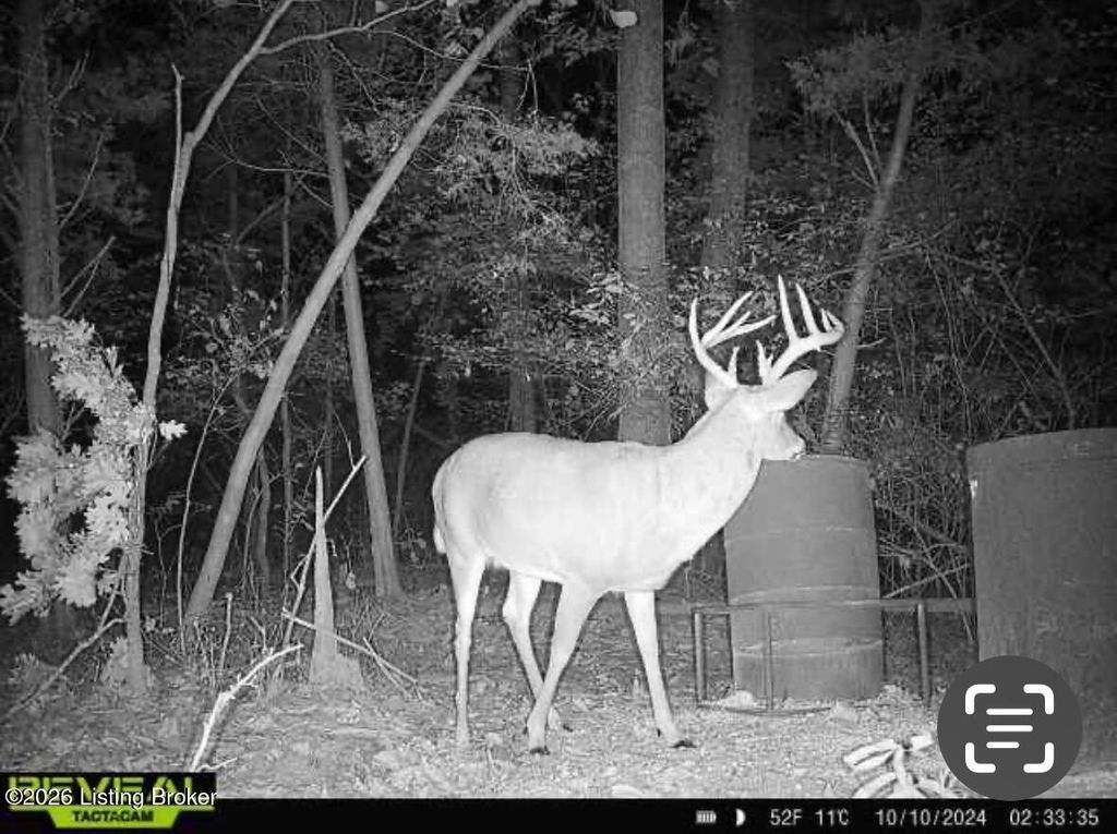 Photo of 1450 Puncheon Creek Rd, Lawrenceburg, KY 40342 (MLS # 1714343)