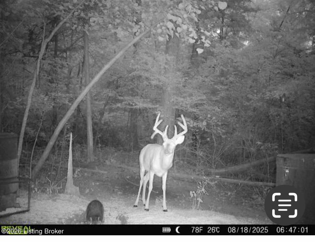 Photo of 1450 Puncheon Creek Rd, Lawrenceburg, KY 40342 (MLS # 1714343)