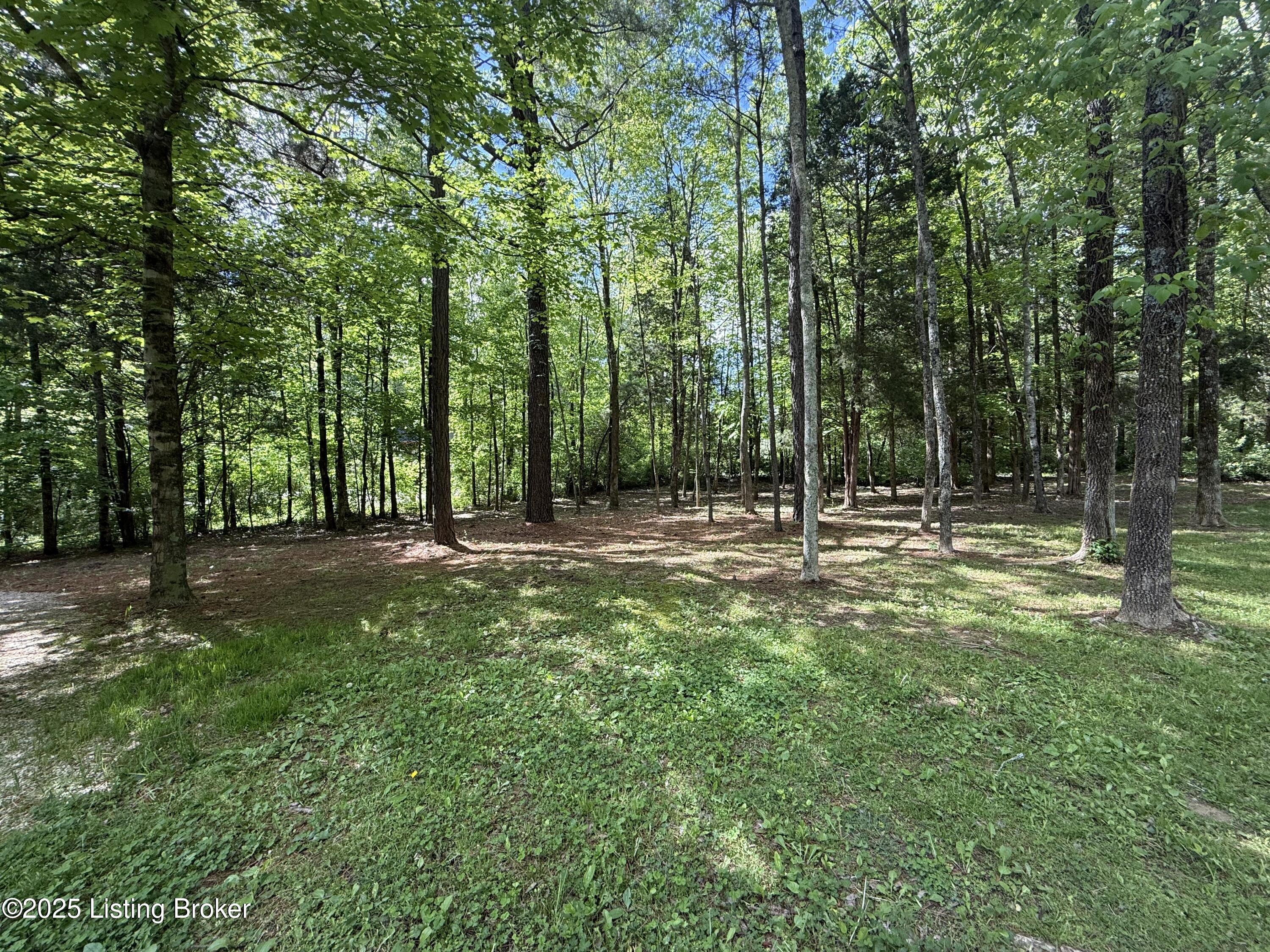 251 Drowsy Rd, Hardinsburg, Kentucky image 50
