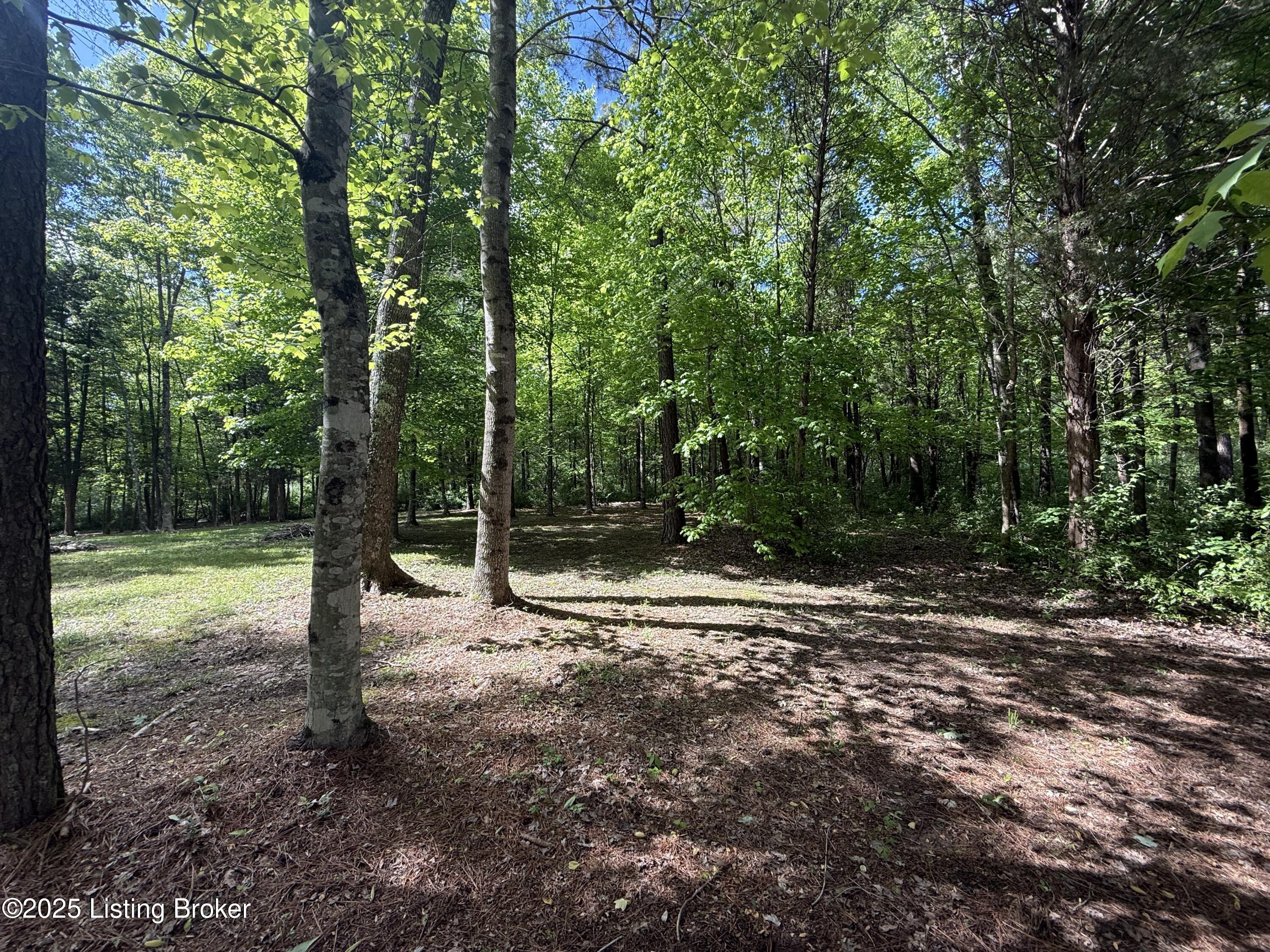 251 Drowsy Rd, Hardinsburg, Kentucky image 49