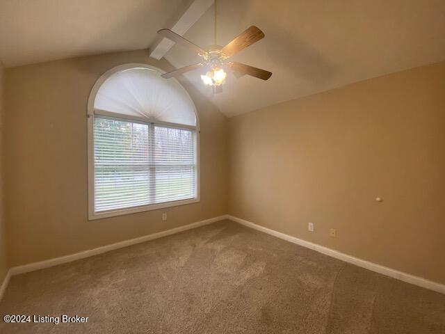 3980 Mobley Mill Rd, Coxs Creek, Kentucky image 22