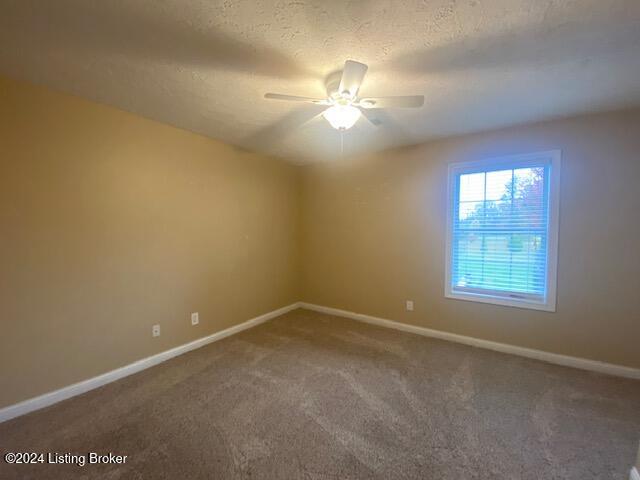 3980 Mobley Mill Rd, Coxs Creek, Kentucky image 19