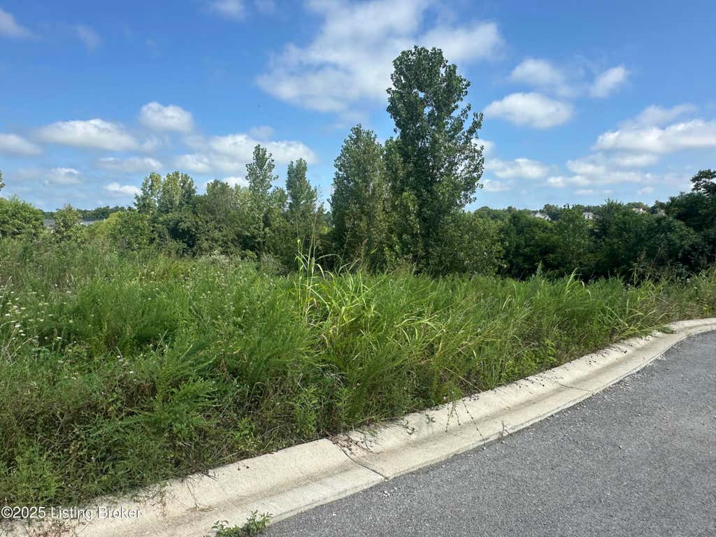 Photo of 2715 Tarpon Dr, La Grange, KY 40031 (MLS # 1727168)