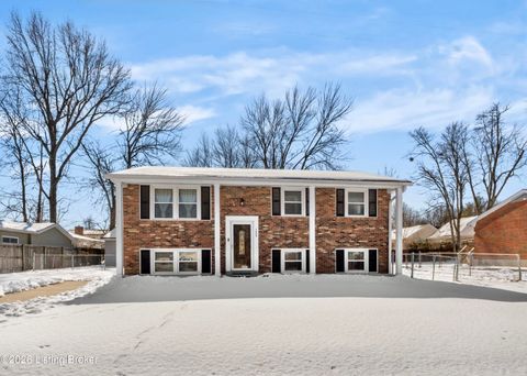 Photo of 7804 Davhal Dr, Louisville, KY 40291 (MLS # 1709002)