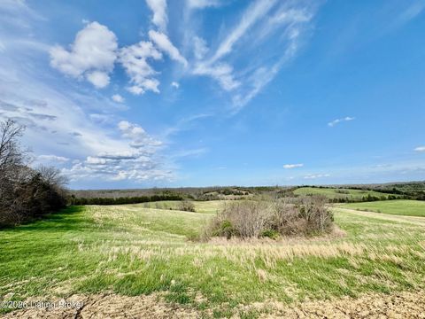 Vacant Land For Sale - 3826-2 Chaplin Rd<br/> Willisburg, KY 40078