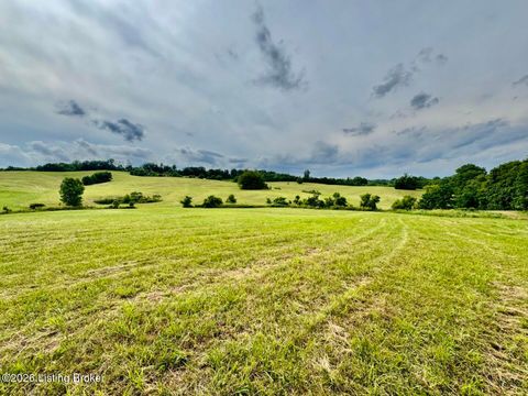 Vacant Land For Sale - 3826-2 Chaplin Rd<br/> Willisburg, KY 40078