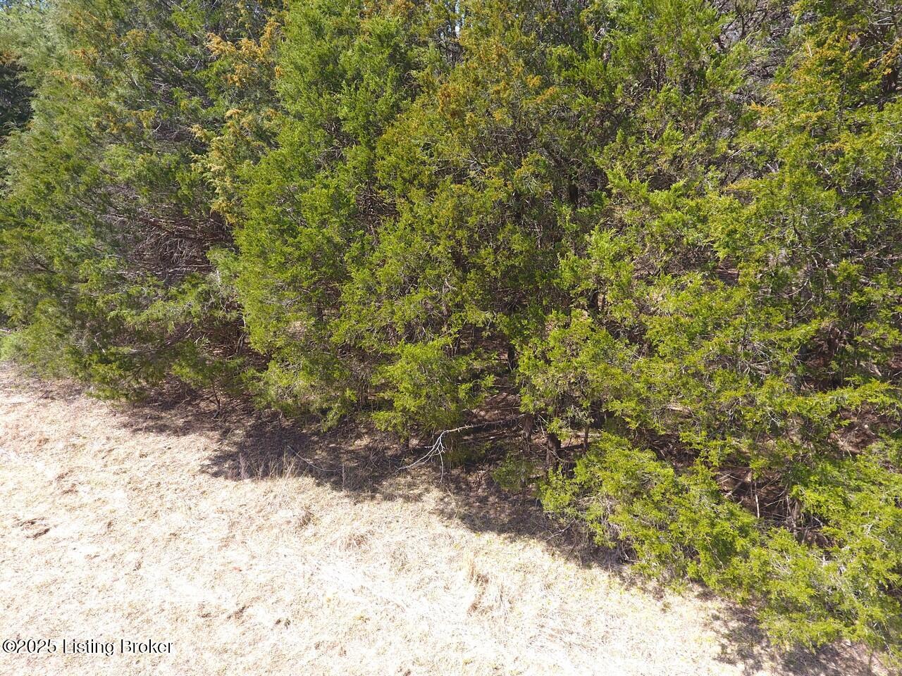 Pine Hurst Bay Rd, Clarkson, Kentucky image 18