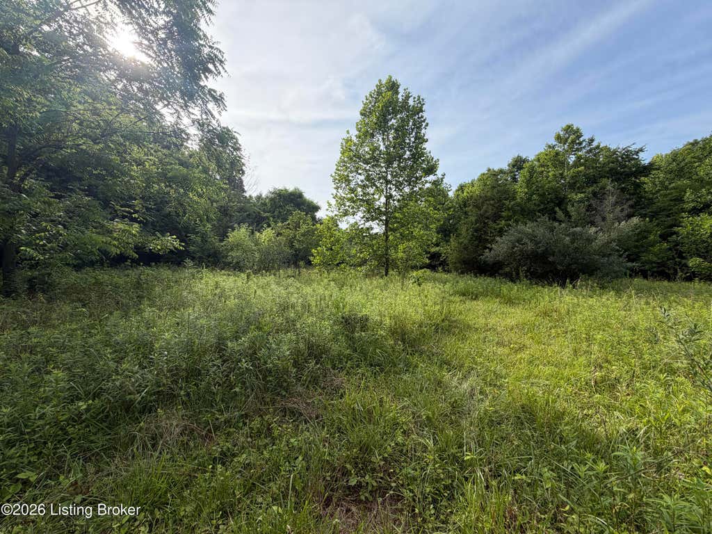 Photo of 0 Dogwood Cross Rd, La Grange, KY 40031 (MLS # 1722954)