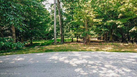 Vacant Land For Sale - 731 Camp Greenshores Ln<br/> McDaniels, KY 40152