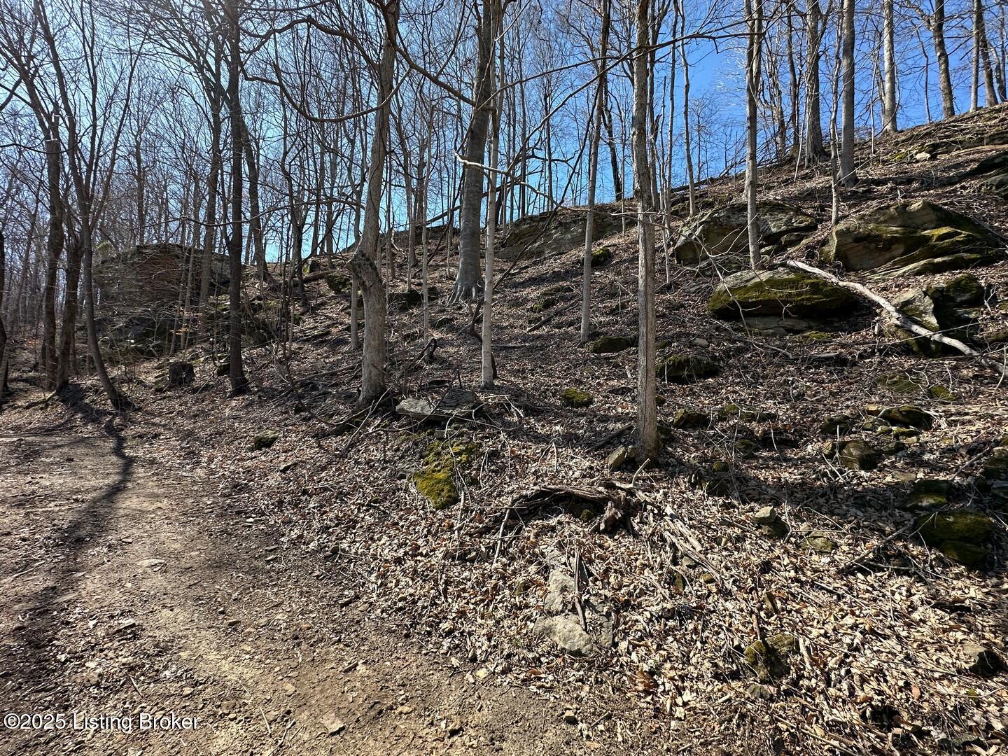 L1 1126 Thomason Cemetery Rd, Leitchfield, Kentucky image 12