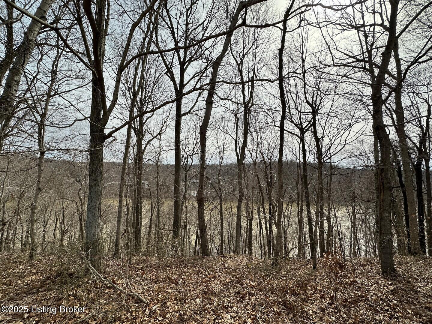 L1 1126 Thomason Cemetery Rd, Leitchfield, Kentucky image 17
