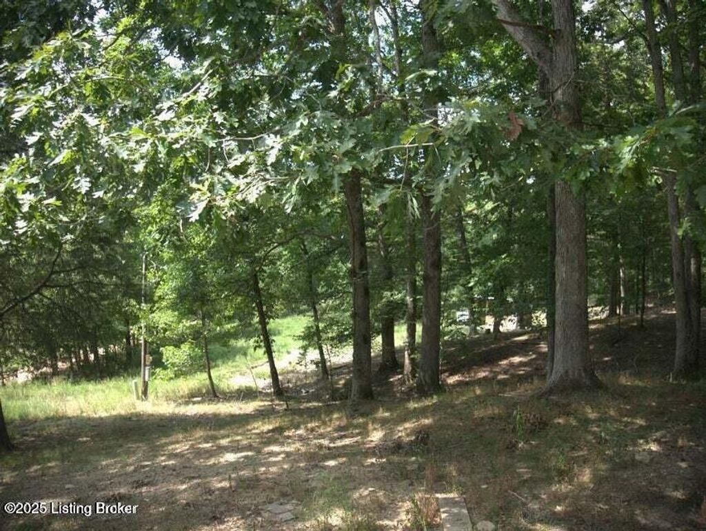Photo of 1720 E Flats Rd, New Haven, KY 40051 (MLS # 1701481)