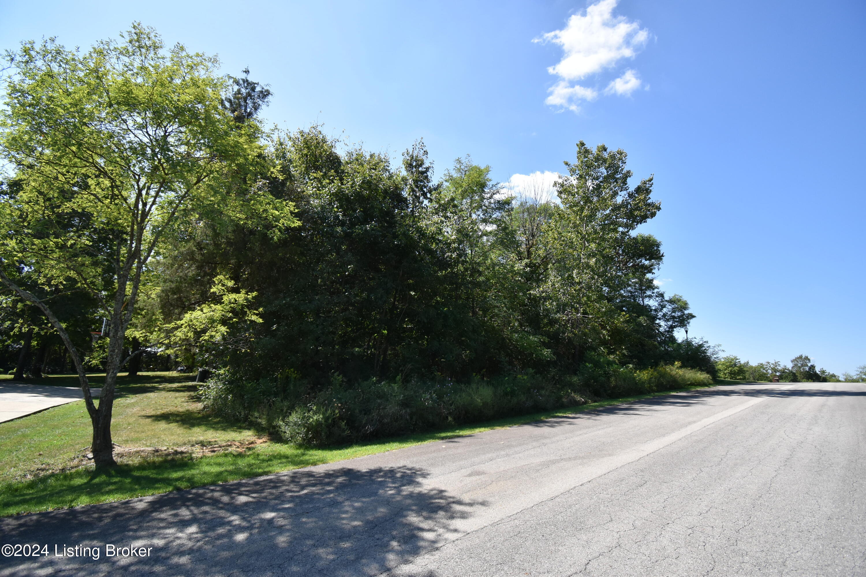 25 Heritage Dr, Coxs Creek, Kentucky image 4