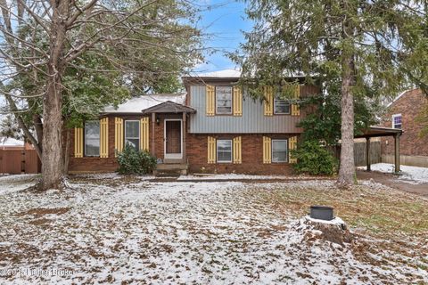 Photo of 8605 Amerivan Dr, Jeffersontown, KY 40299 (MLS # 1706813)