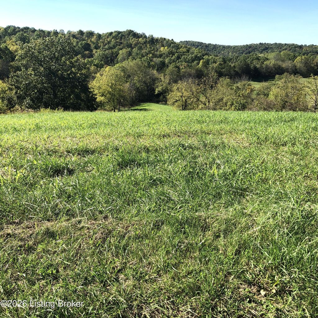 Photo of 6 s Chowning Ln, Bloomfield, KY 40008 (MLS # 1713274)