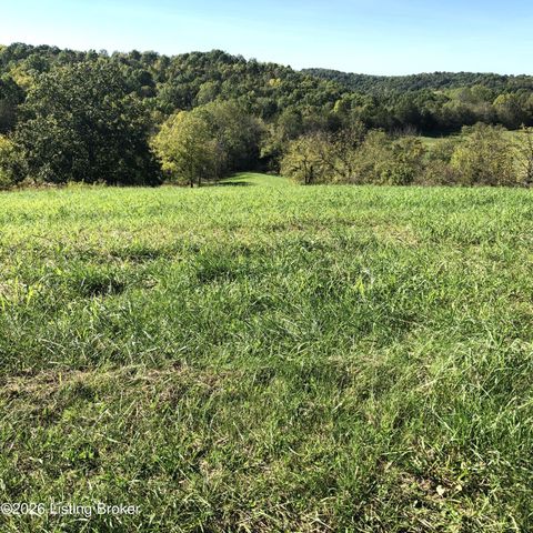 Vacant Land For Sale - 6 S Chowning Ln<br/> Spencer County, Bloomfield, KY 40008