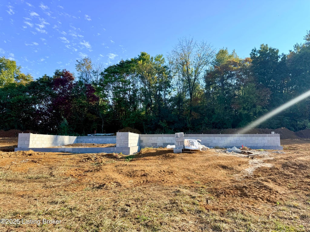 Photo of 189 Tulip Dr, Bardstown, KY 40004 (MLS # 1731730)
